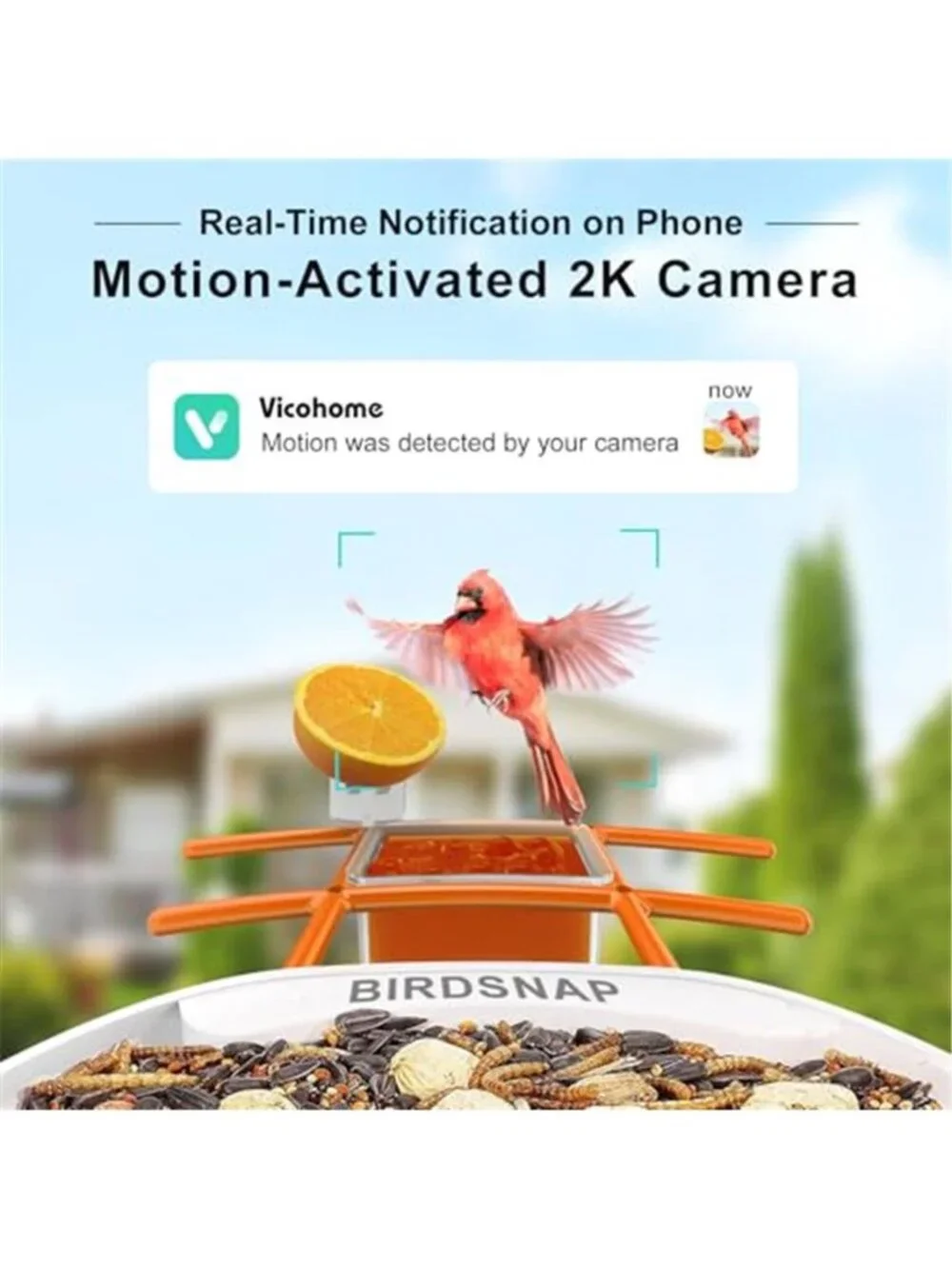 New TUC Bird Feeder with Camera 2K HD Live with 32GB Card Auto Detect &